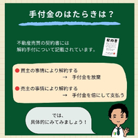 画像900